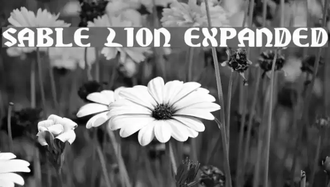 Sable Lion Expanded Font examples