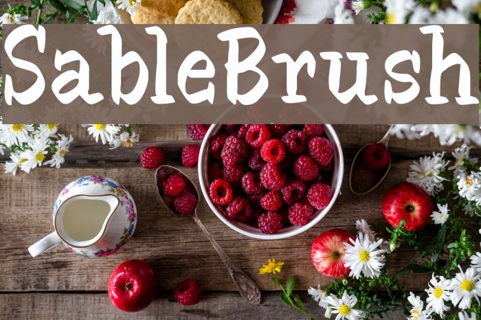 SableBrush Font examples