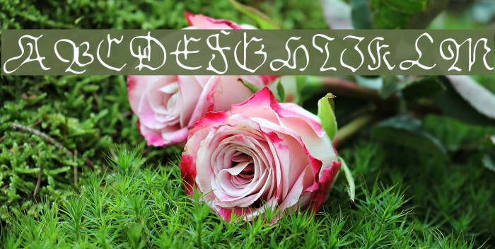 Sable Font examples