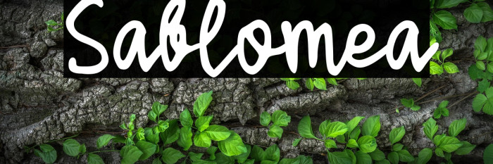 Sablomea Example 2
