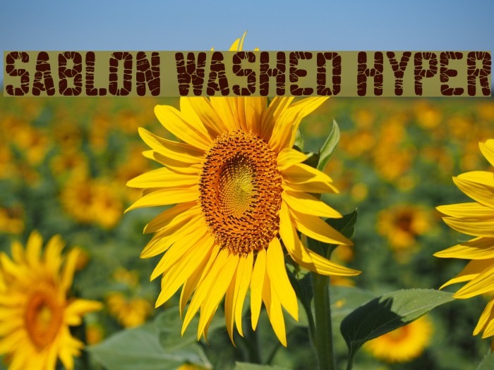 Sablon Washed Hyper Font examples
