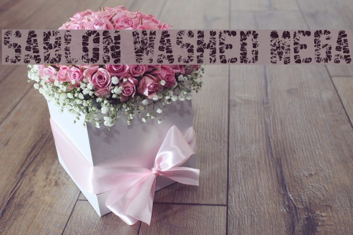 Sablon Washed Mega Font examples