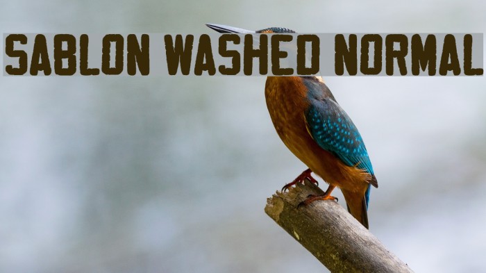 Sablon Washed Normal Font examples