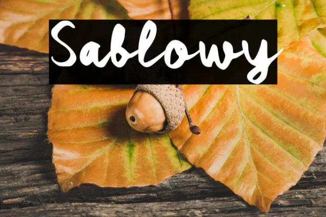 Sablowy Example 1