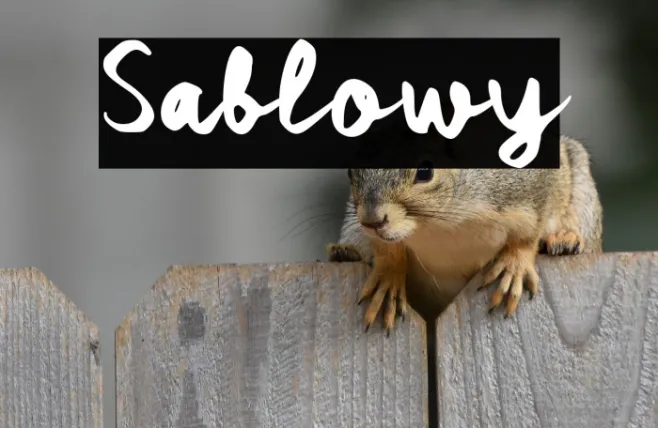 Sablowy Example 2