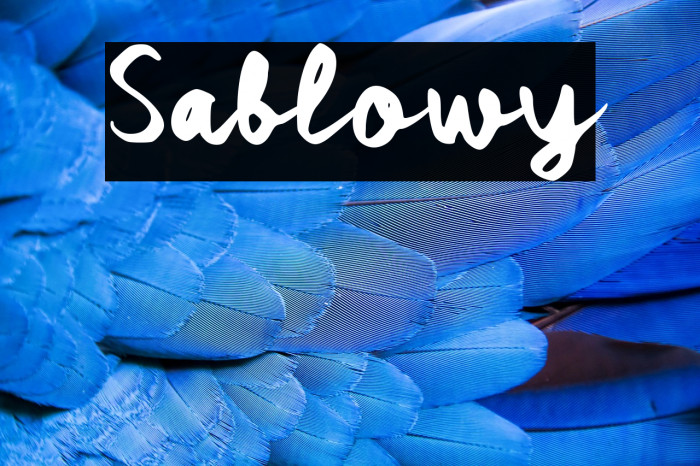 Sablowy Example 3