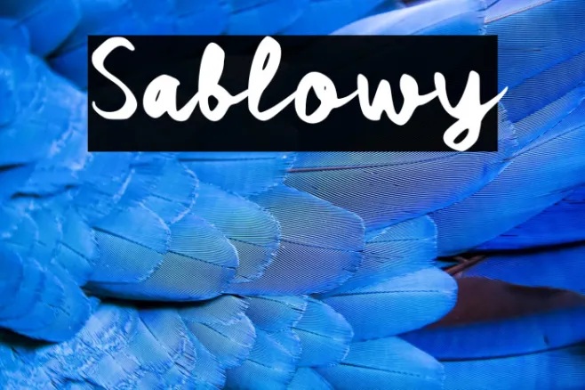 Sablowy Example 3