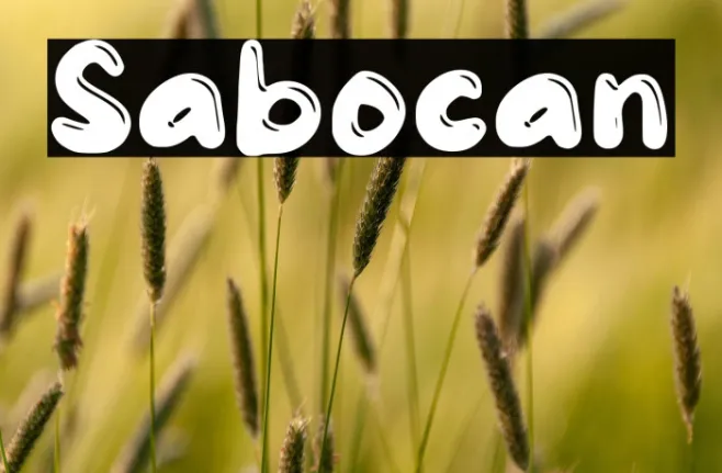 Sabocan Example 1