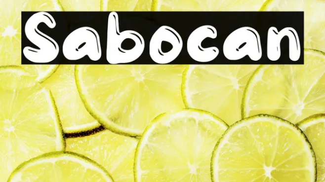 Sabocan Example 3