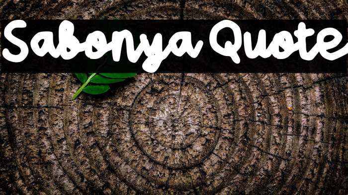 Sabonya Quote Example 1