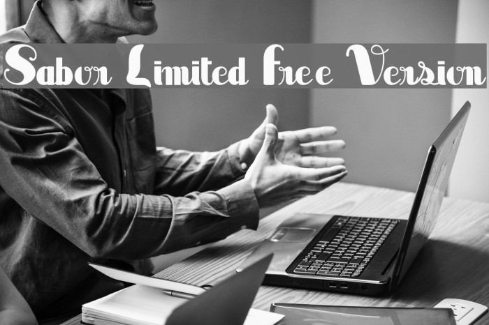 Sabor Limited Free Version Example 1