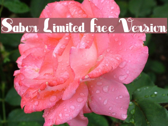 Sabor Limited Free Version Example 3