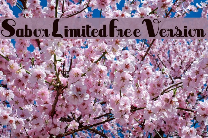 SaborLimitedFreeVersion Font examples