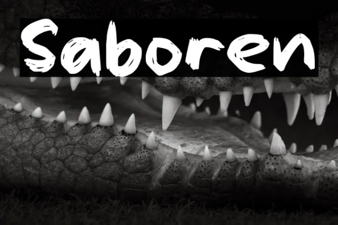 Saboren Example 2