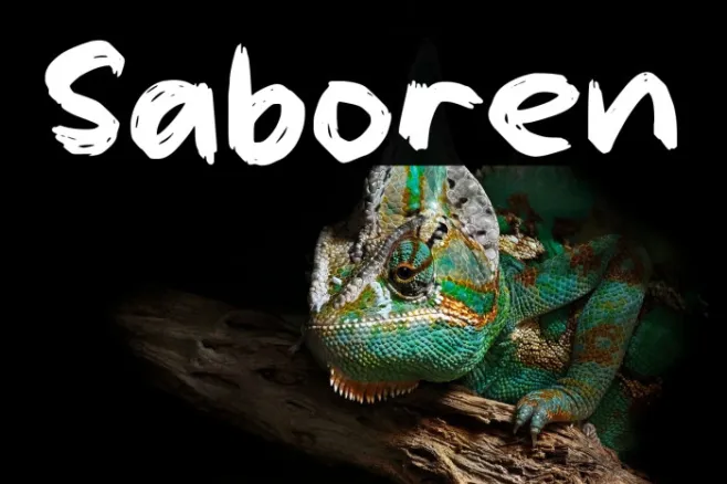 Saboren Example 3