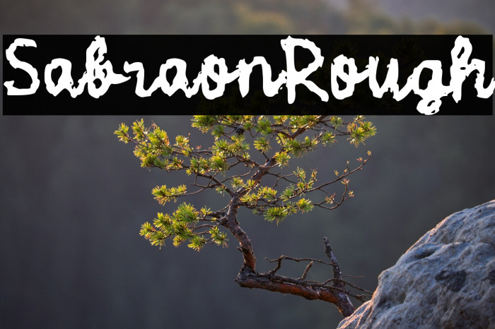 Sabraon Rough Example 2