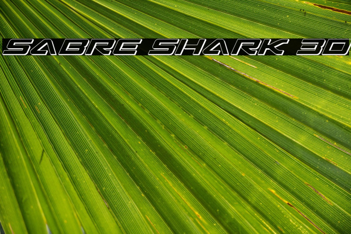 Sabre Shark 3D Example 2