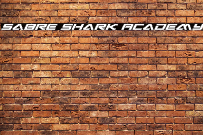 Sabre Shark Academy Example 2