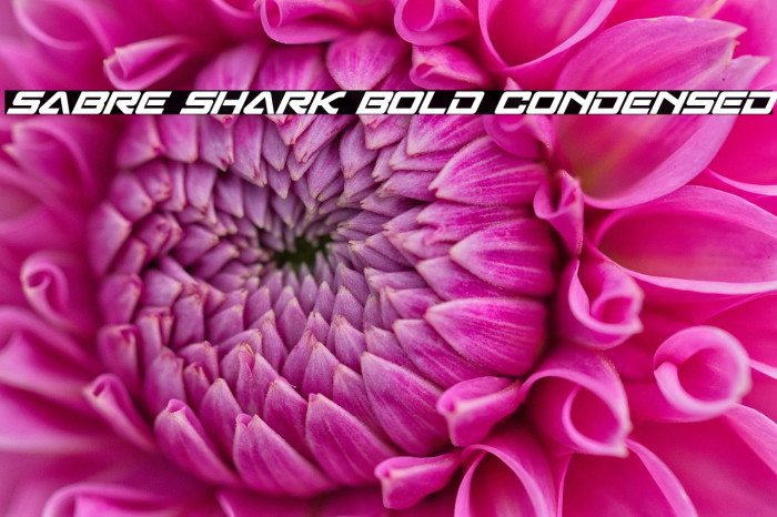 Sabre Shark Bold Condensed Example 2