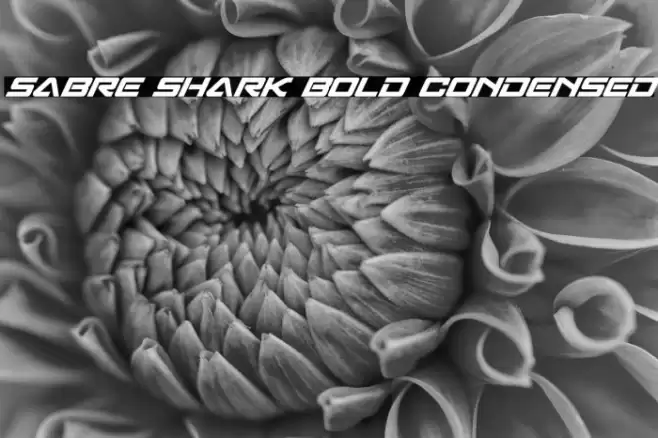 Sabre Shark Bold Condensed Font examples