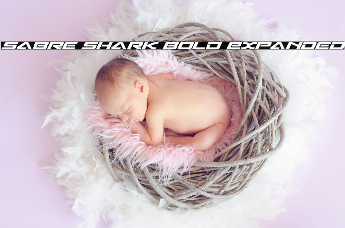 Sabre Shark Bold Expanded Example 1