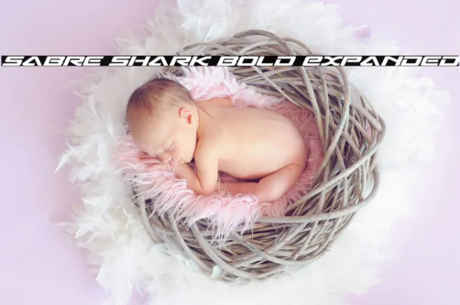 Sabre Shark Bold Expanded Example 1