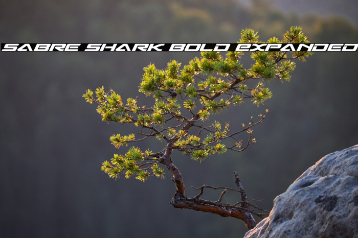 Sabre Shark Bold Expanded Example 3