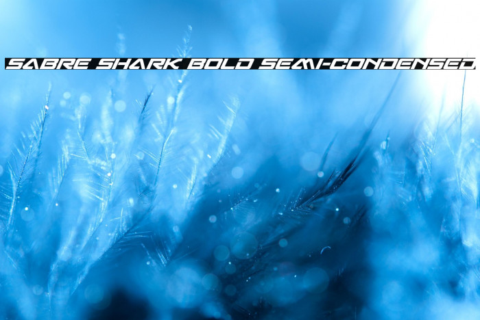 Sabre Shark Bold Semi-Condensed Example 2