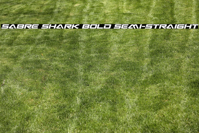 Sabre Shark Bold Semi-Straight Example 1