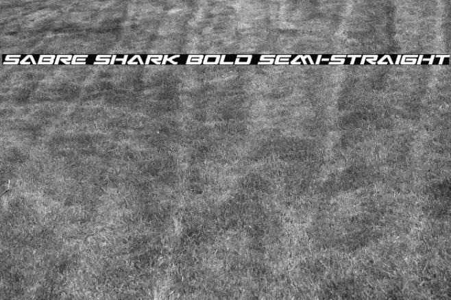 Sabre Shark Bold Semi-Straight Font examples