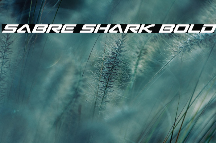 Sabre Shark Bold Example 1
