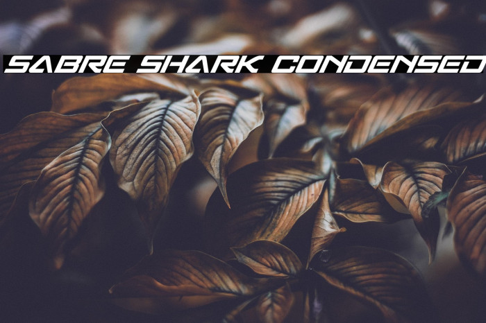 Sabre Shark Condensed Example 3
