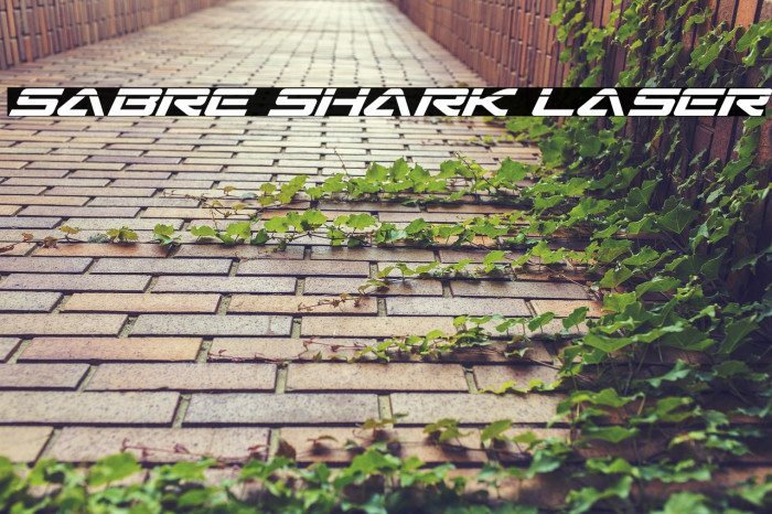 Sabre Shark Laser Example 1