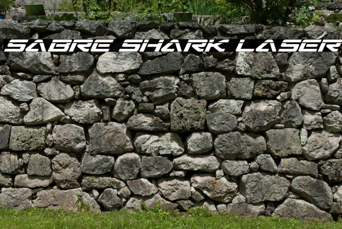 Sabre Shark Laser Example 2