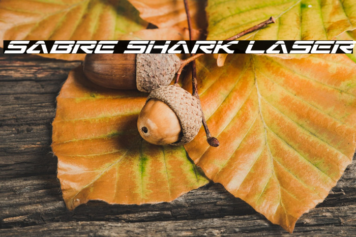 Sabre Shark Laser Example 3