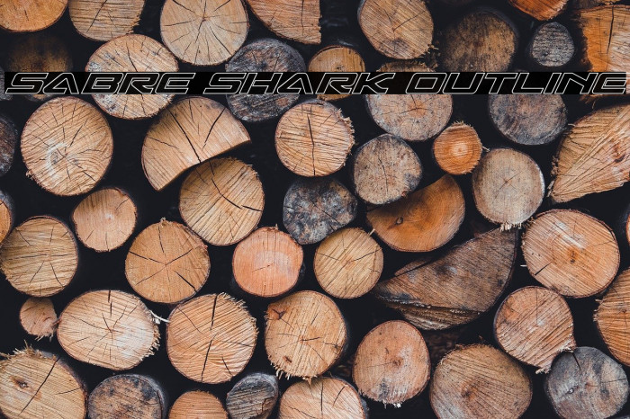 Sabre Shark Outline Example 2