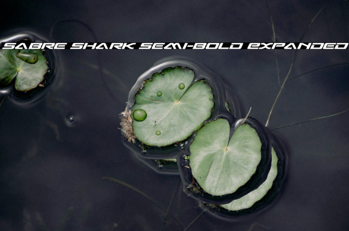 Sabre Shark Semi-Bold Expanded Example 2