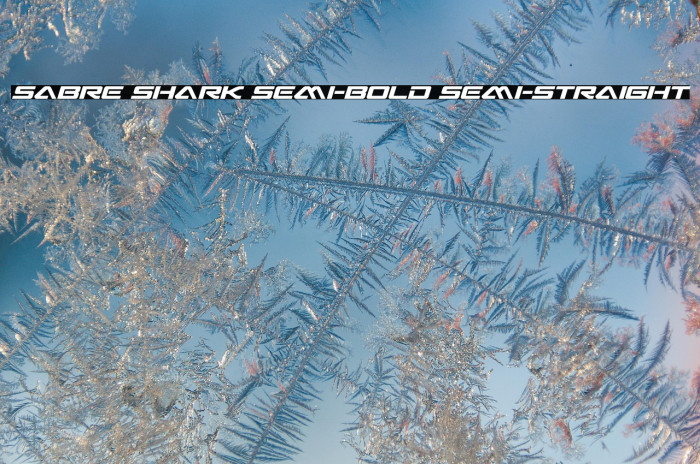 Sabre Shark Semi-Bold Semi-Straight Example 3