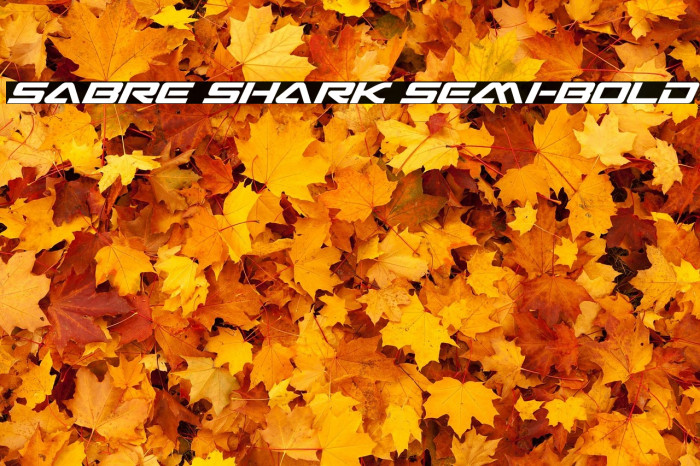 Sabre Shark Semi-Bold Example 2