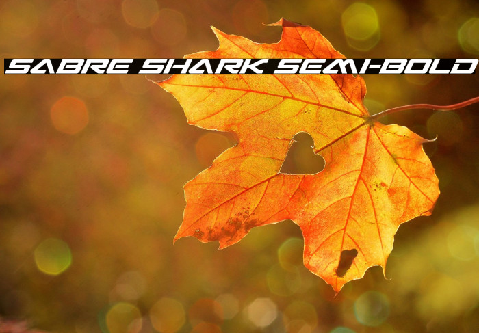 Sabre Shark Semi-Bold Example 3