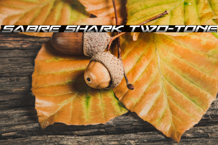 Sabre Shark Two-Tone Example 1