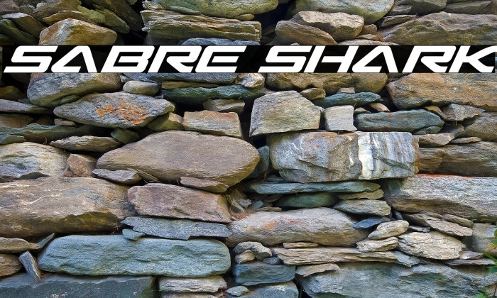 Sabre Shark Example 1