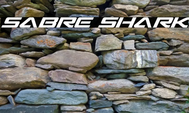 Sabre Shark Example 1