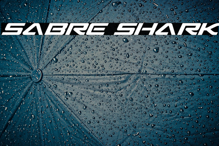 Sabre Shark Example 2