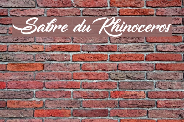 Sabre du Rhinoceros Font examples