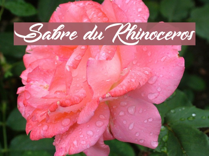 Sabre du Rhinoceros Font examples