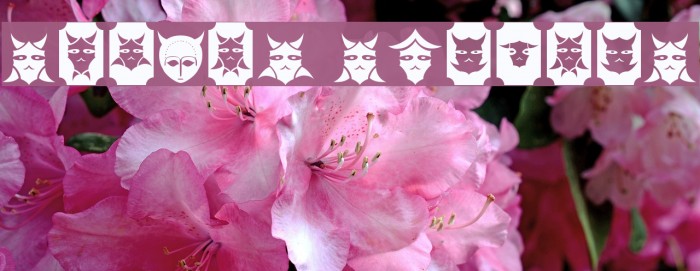 Sabril Species Font examples