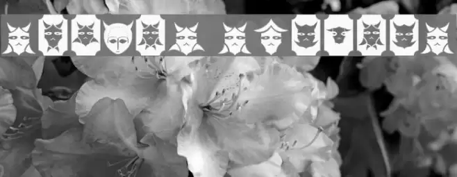 Sabril Species Font examples