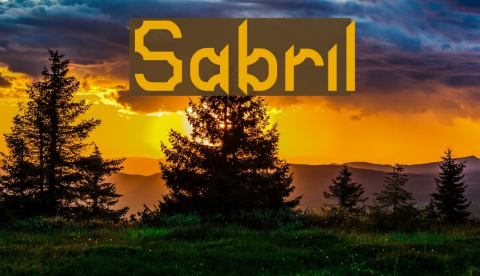 Sabril Font examples