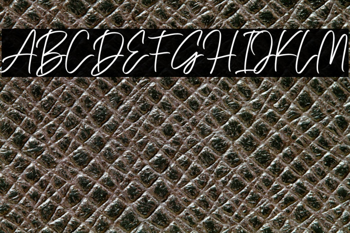 Sabrina Pamella Example 2